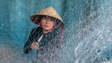 Fishing Net Worker in Hoi An