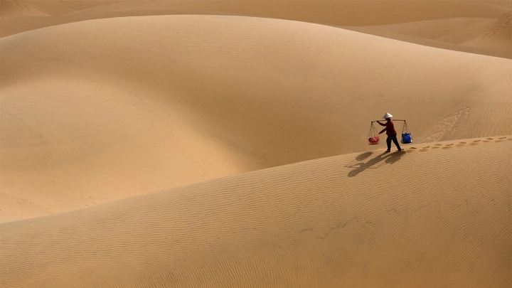 Alone On The Sanddunes 2