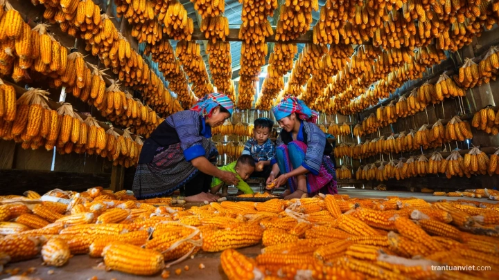 Corn House Mu Cang Chai Photo Tour
