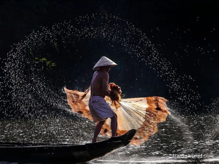 Fisherman In Hue