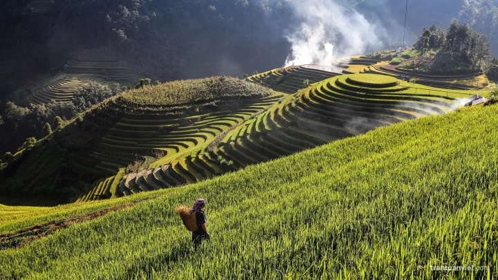 Mam Xoi View Point Mu Cang Chai Photo Tour