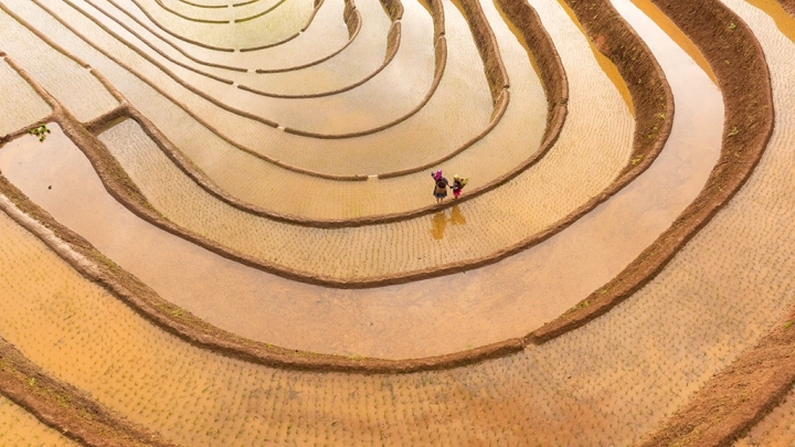 Season of Reflection - Northern Vietnam