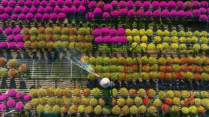 Sadec Flower Village 3