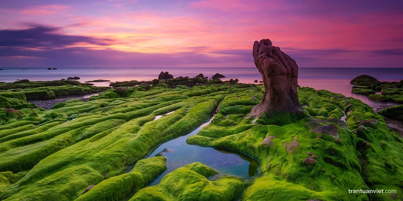 Nature Photographer of the Year – Award 2022