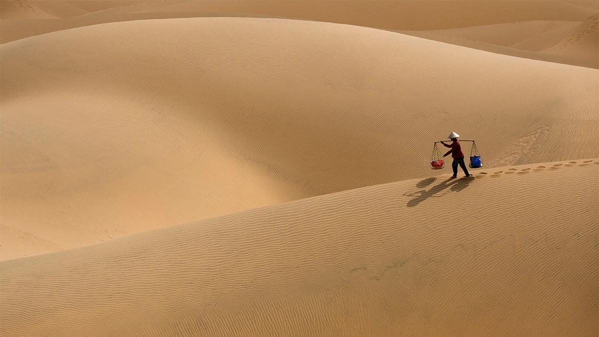 Alone On The Sanddunes 2