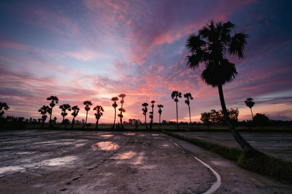 Mekong Delta Photography Guide: Floating Markets, River Life & Rural Vietnam