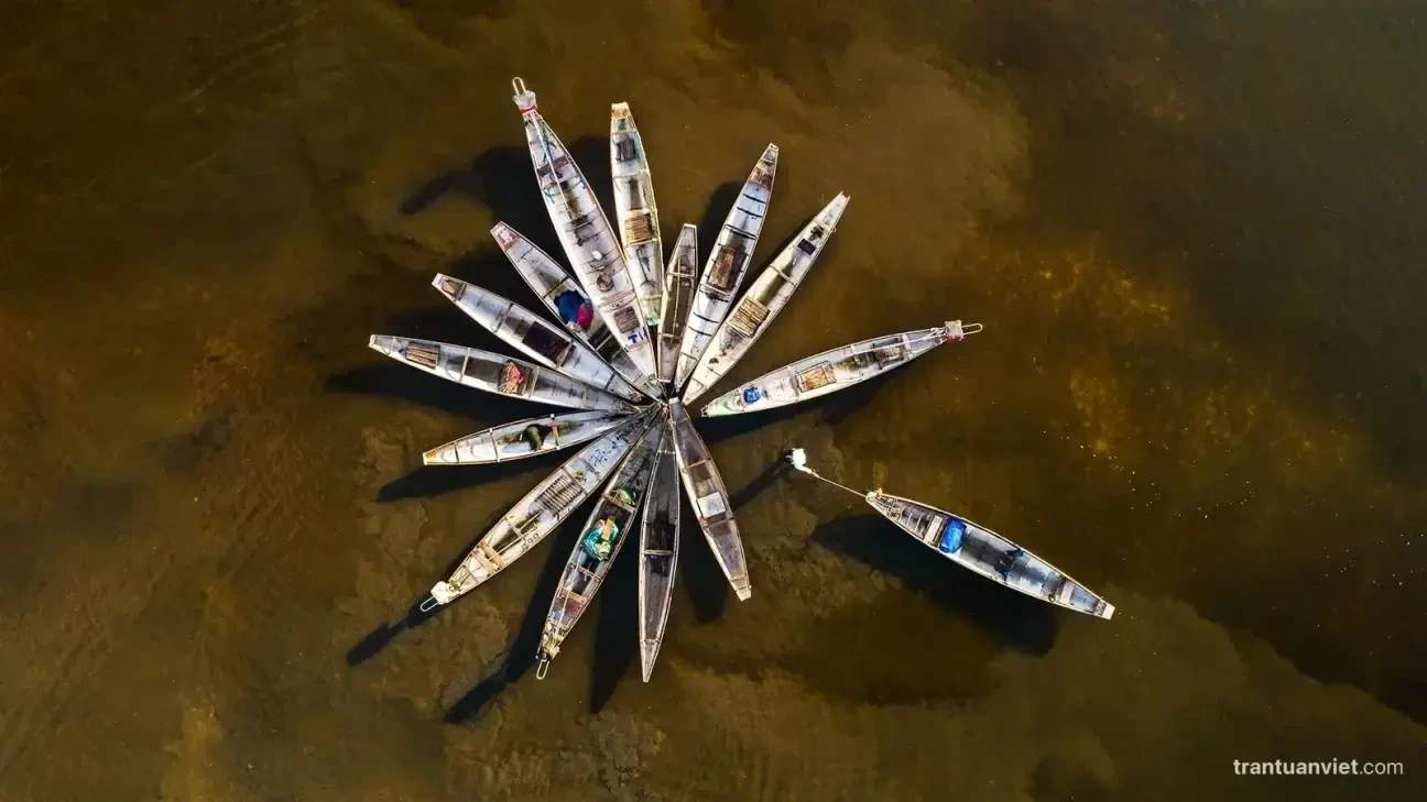 Flower Boat