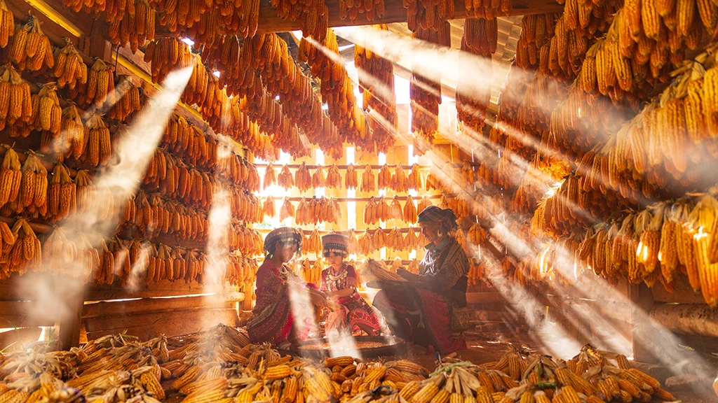 Corn House