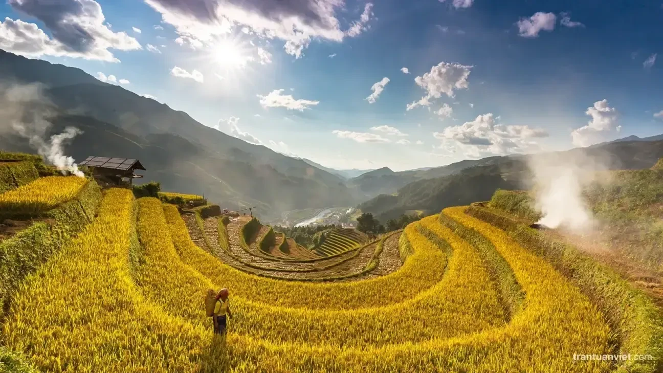 Horse Shoes Bench In Mu Cang Chai