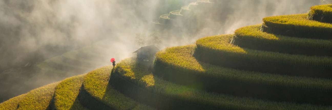 Mu Cang Chai Rice Fields - Vietnam Photography Workshop