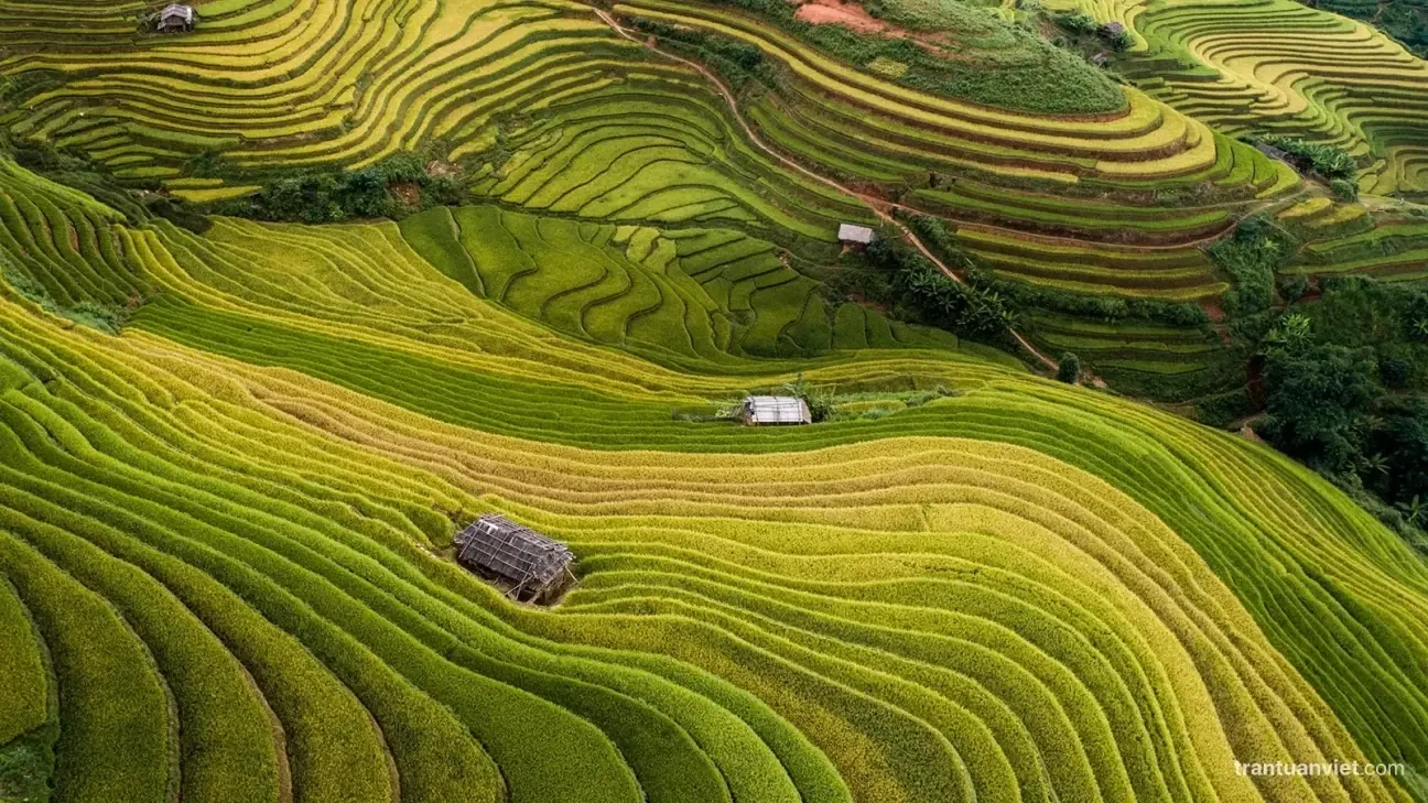 Mu Cang Chai Rice Terraces 2