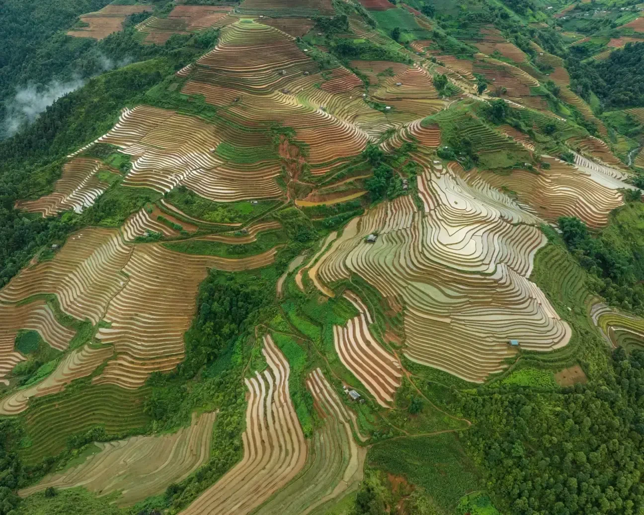 Mu Cang Chai Rice Terraces Water Season