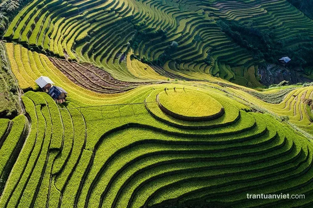 Mu Cang Chai Rice Terraces