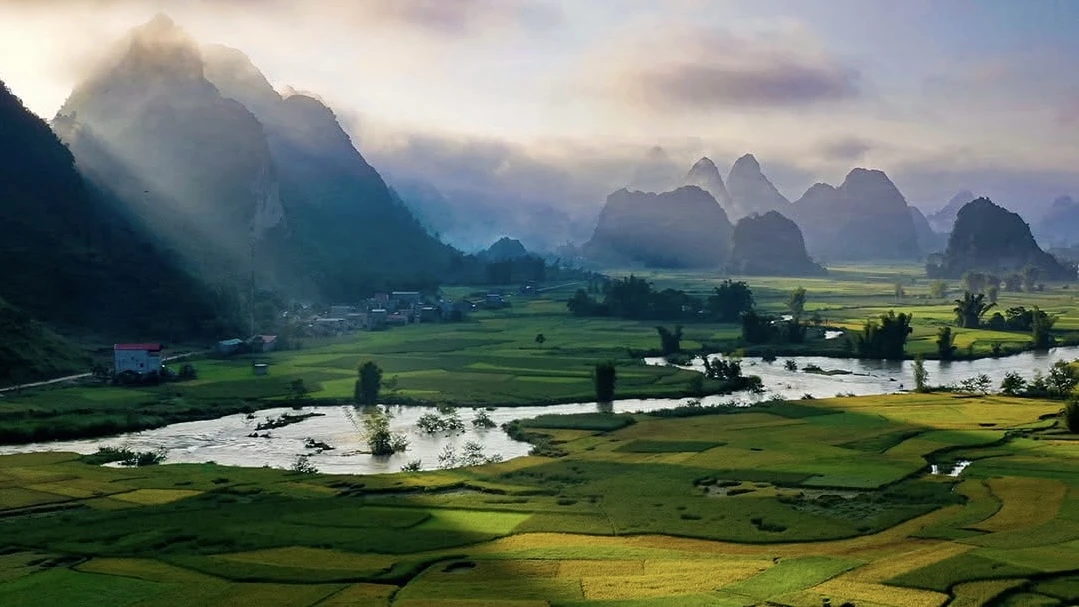Foggy Mountains