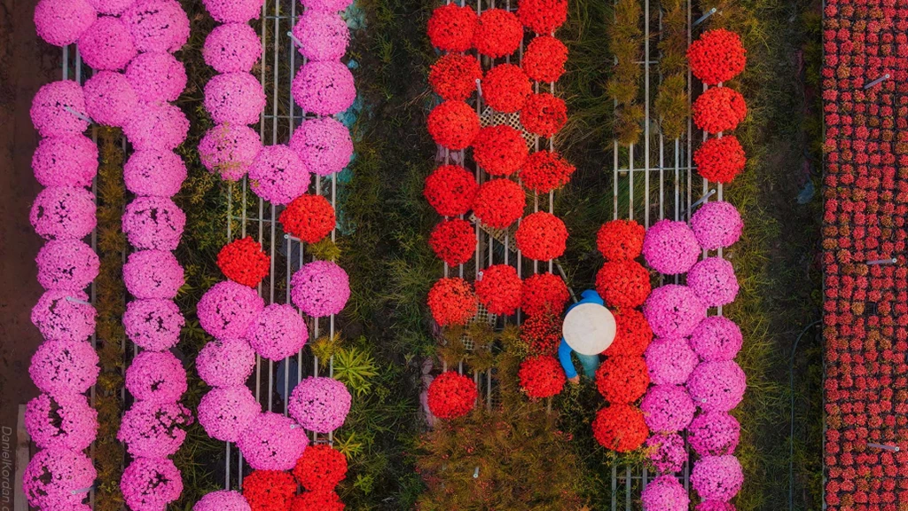 Sadec Flower Village 2