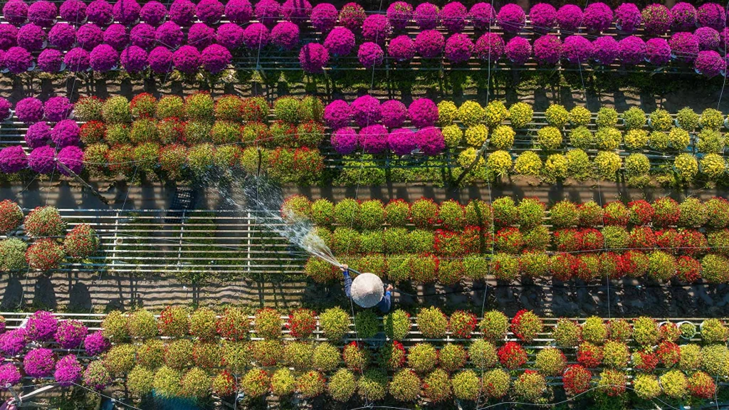 Sadec Flower Village 3