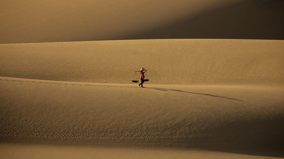 Sanddunes In Lam Dong