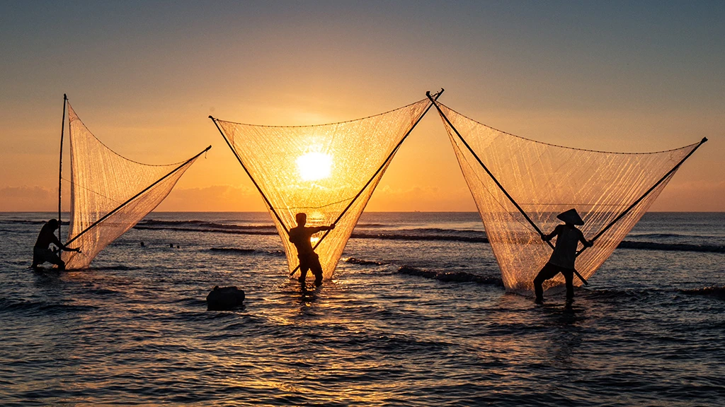 V-Shape Net